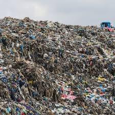 Sustainability Process
